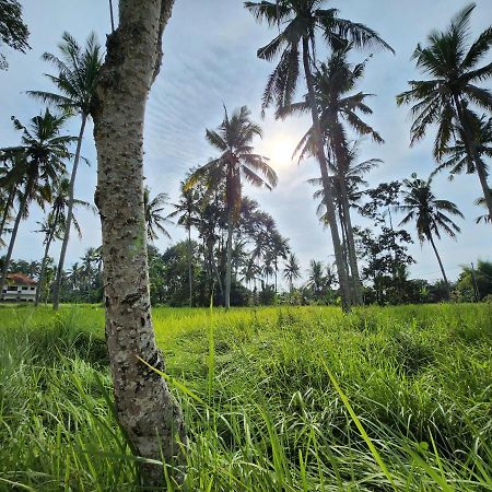 Casa Idea Ubud Екстер'єр фото